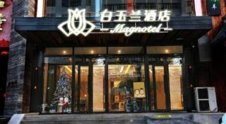 Magnotel Shenyang Consulate Qingnian Street - 3
