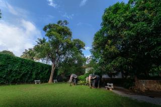 Grand Villa Kandy - 1