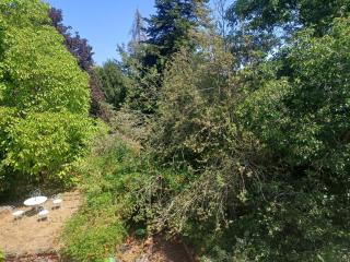 Maison aux volets verts - 1