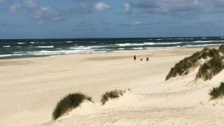 Villavilla 518 - Henne Strand, Vestjylland - 2