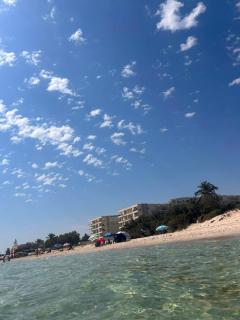 Cap zebib metline - 2