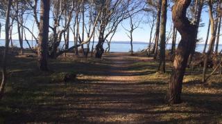 Villavilla 312 - Hornbæk, Nordsjælland - 3