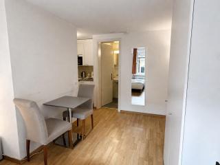 Cozy Studio in the Heart of Zurich - Stork 25 - 4