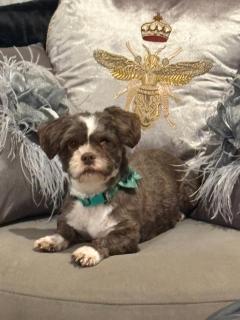 Maison Blue - Chic Garden Apartment - Pet Friendly - 7