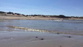 Villavilla 362 - Asserboliseleje, Nordsjælland - 3