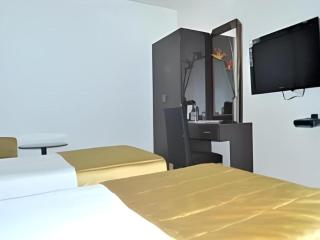 Mumbai Metro - The Executive Hotel - 2