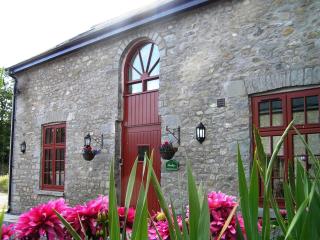 Merlin Stable Cottage - 9