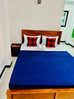NV Villa - Near Airport - 2