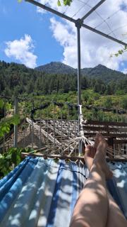 Madari Hills Villa & Tours - 9