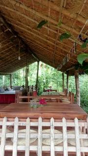 Bravo Agriculture Farmhouse - 8