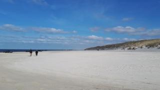 Villavilla 411 - Blokhus, Nordjylland - 2