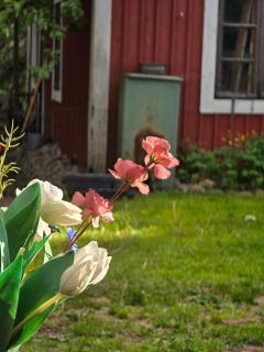 Viinikka Puutalo - Sauna, Garden, Grill - 90m2 - 2