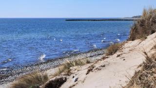 Villavilla 960 - Østersøbadet, Lollandfalstermøn - 1