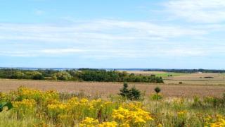 Villavilla 504 - Vejby Strand, Nordsjælland - 4