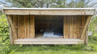Villavilla 637 - Vorupør, Nordjylland - 3