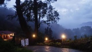 Mistwood Farmstay munnar - 7