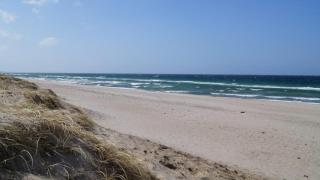 Villavilla 276 - Tisvildeleje, Nordsjælland - 4