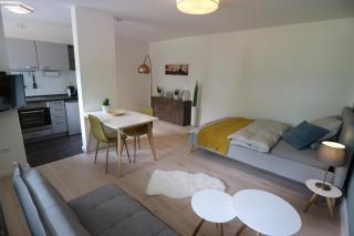 Schickes Apartment in München direkt am Südpark - 9