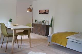 Schickes Apartment in München direkt am Südpark - 7