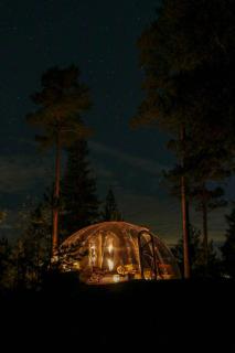 Sleep under the stars in a glass-igloo! - 6