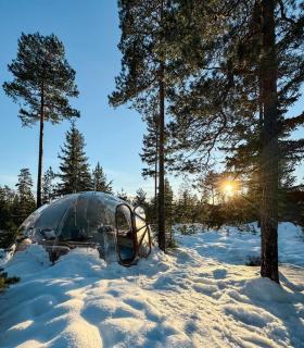 Sleep under the stars in a glass-igloo! - 2