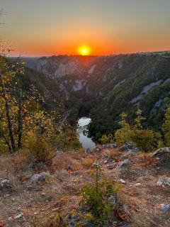 Vila BeeWild - 8