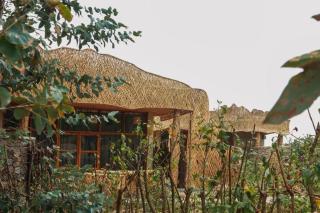 Gahinga Community Lodge - 2