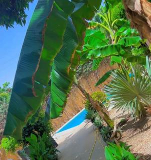 Villa mango - Somone - 8