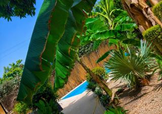 Villa mango - Somone - 0
