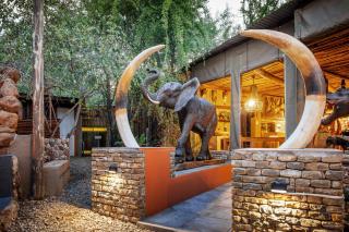 Grace of Africa, Luxury Safari Lodge near Kruger National Park - 0