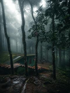 Terra Green Nature Stay, Wayanad - 2