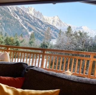 Chalet traditionnel vue Mont-Blanc avec jardin - 2