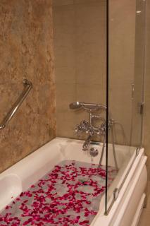 Hotel Rock Manali -A Unit of Akhnoor Hotels Pvt Ltd - 4