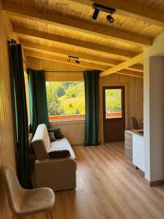 Bran Forest Hideaway - 9