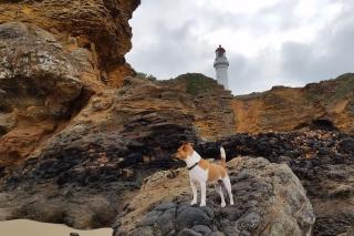 BYO Linen - Aireys 15 - Aireys Inlet - 2