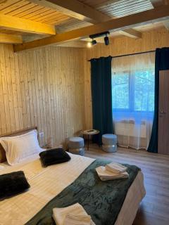 Bran Forest Hideaway - 7