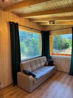 Bran Forest Hideaway - 5