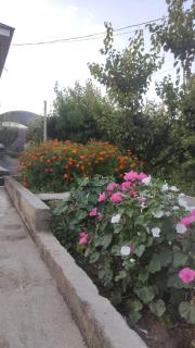 Kumtor Guest House - 1
