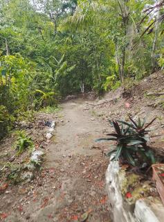 Las casitas - 5