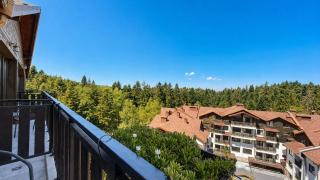 Premium StudioApartment in Borovets Gardens - 5