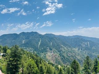Mountain view hotel - 3