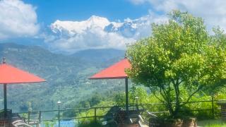 Himalaya Serene View Guest House & Farm Stay - 8