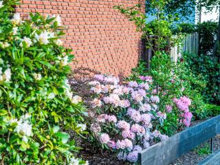 Holiday Home MöhneMoments by Interhome - 1