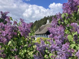 Holiday Home Eva - 1-5km to the fjord by Interhome - 9