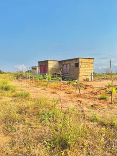 Selah Farmstay Chalinze - 7