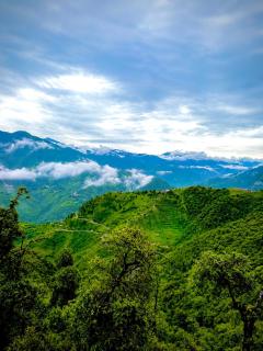 Hotel Amber - Stay in the Heart of Mussoorie #Balcony & Family Room #Mountain View - 4