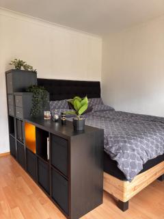 Luxury garden apartment Arabella Park 15 minutes to the city Oktoberfest - 8