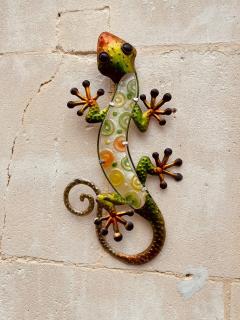 La Salamandre Enchantée - 8