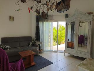 Studio 45m2 au calme proche Montpellier et hôpitaux - 3