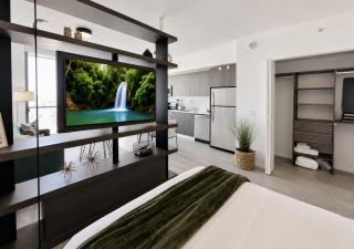 Luxury Downtown Studio Next to Cruise Terminals, Kaseya Center & Bayside - 8